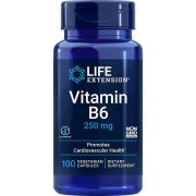 Life Extension Vitamin B6 250 mg 100 Vegetarian Capsules