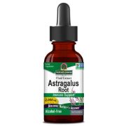 Nature's Answer Astragalus Root 2,000mg 1 Oz (30ml)
