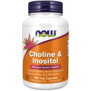 NOW Foods Choline & Inositol 500 mg 100 Veg Capsules