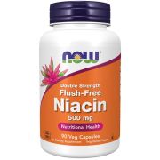 NOW Foods Niacin 500mg, Double Strength Flush-Free 90 Veg Capsules