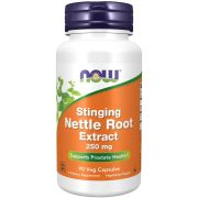 NOW Foods Stinging Nettle Root Extract 250 mg 90 Veg Capsules